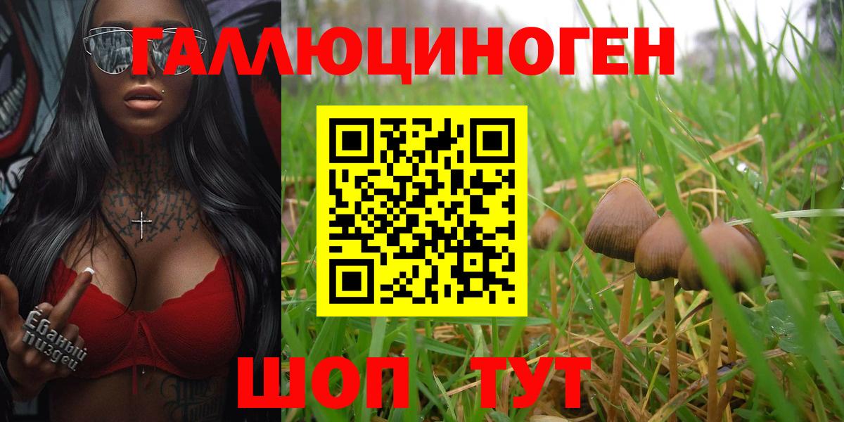 Псилоцибиновые грибы мицелий  Вход с VPN  Арзамас 
