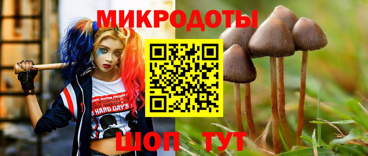 Псилоцибиновые грибы прущие грибы Арзамас